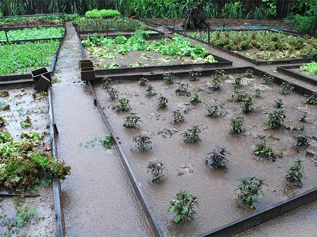 Садовый участок, почва